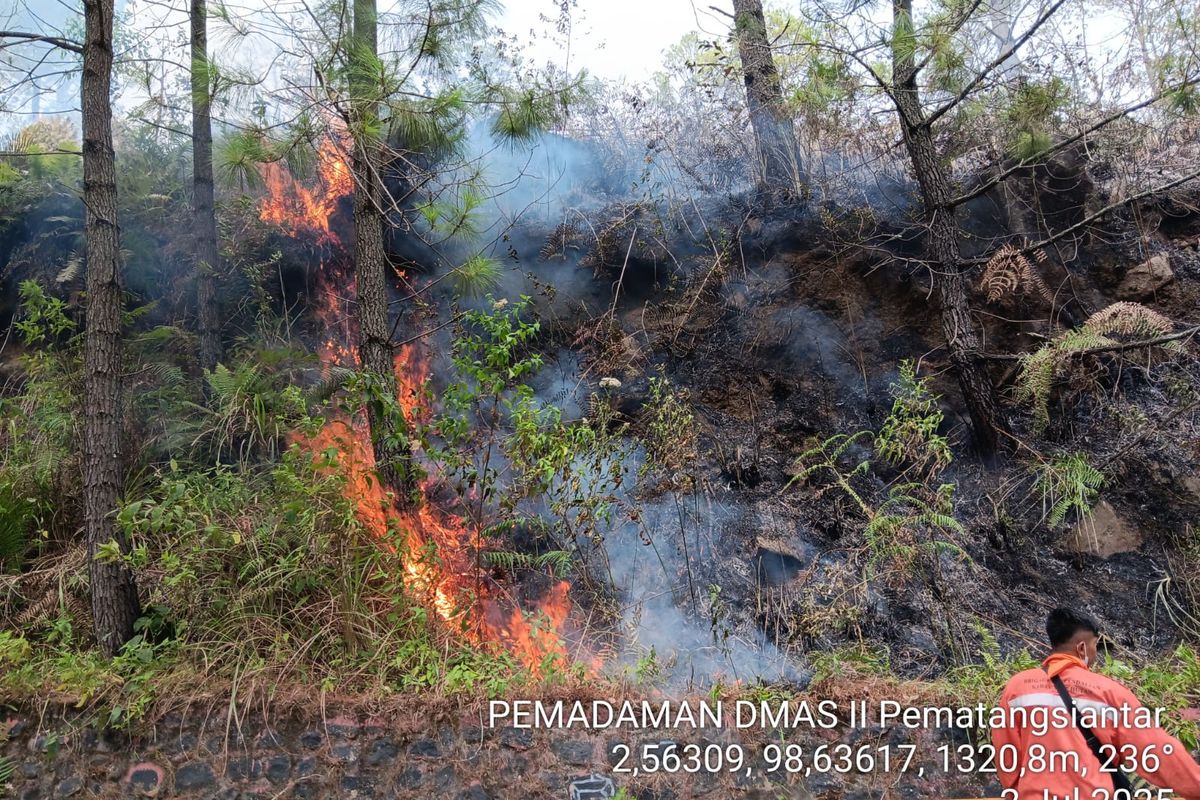 Penampakan kebakaran hutan dan lahan (Karhutla) terjadi Menara Pandang Tele, Desa Partungko Naginjang, Kecamatan Harian, Kabupaten Samosir, Sumatera Utara, Rabu (2/7/2025).