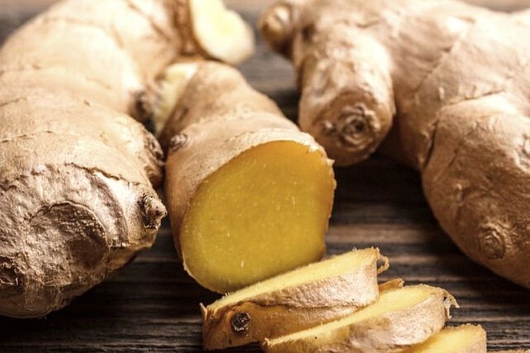 Ilustrasi jahe, 
