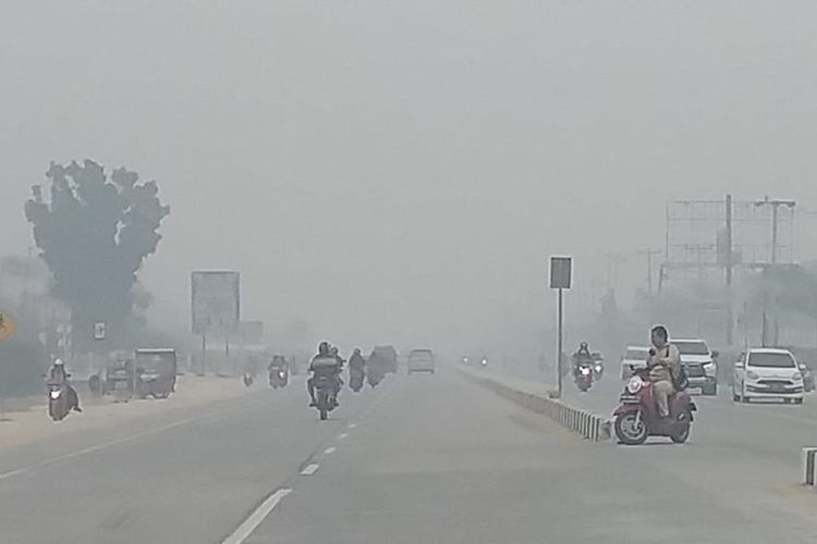 Kabut asap makin pekat di Pekanbaru, Riau, dengan jarang pandang sekitar 300 meter, Jumat (13/9/2019).