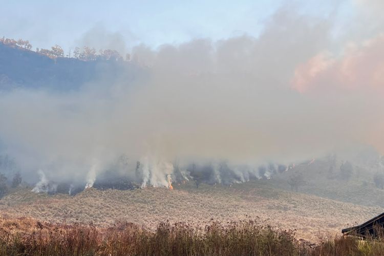 Kebakaran Hutan Bromo, Helikopter Water Bombing Mulai Diterjunkan Besok
