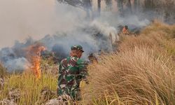 Kebakaran di Sabana Bromo, Ini Akses Transportasi yang Bisa Dilalui