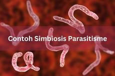 Contoh Simbiosis Parasitisme