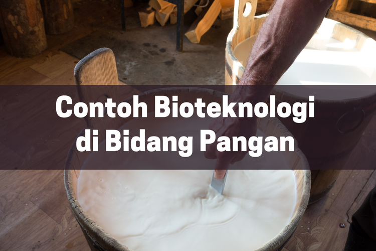 Ilustrasi bioteknologi di bidang pangan