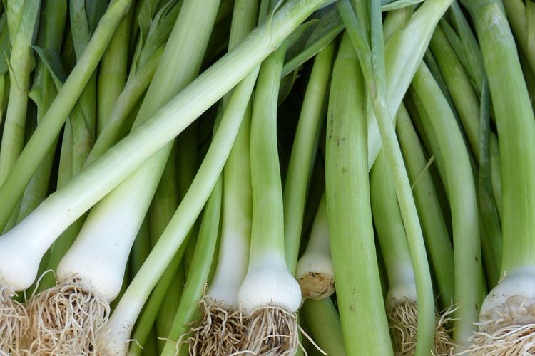 Ilustrasi daun bawang.