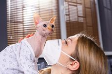 Bahaya dan Cara Mencegah Toksoplasmosis pada Kucing serta Manusia