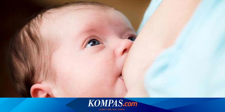Pernah Berhenti Beri Asi Bisakah Menyusui Lagi