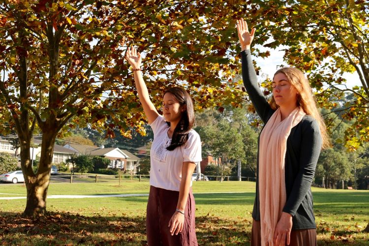 Latihan fisik Falun Dafa perangkat gerakan termasuk meditasi sangat ringan dan mudah dipelajari.