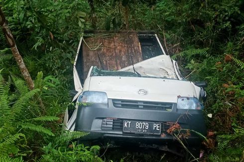 Kecelakaan Tunggal di Bukit Soeharto, Sopir Pikap dan 2 Ekor Sapi Tewas di Tempat