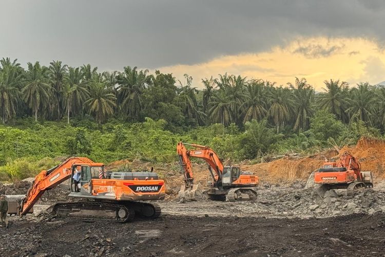 Alat berat digunakan untuk menambang batu bara ilegal di Cagar Alam Teluk Adang, Kalimantan Timur.