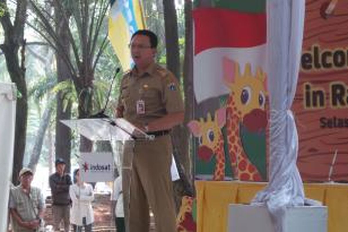 Gubernur DKI Jakarta Basuki Tjahaja Purnama saat menerima sepasang jerapah dari Taronga Zoo Sydney, Australia kepada Taman Margasatwa Ragunan (TMR), Selasa (18/8/2015). 