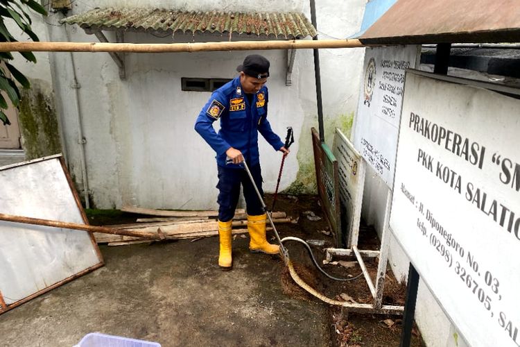 Petugas Damkar Kota Salatiga mengevakuasi ular kopi yang masuk ke pekarangan Rumdin Wali Kota Salatiga