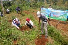 Pemkab Batang Reboisasi 80.000 Hektar Lahan Kritis di Empat Kecamatan