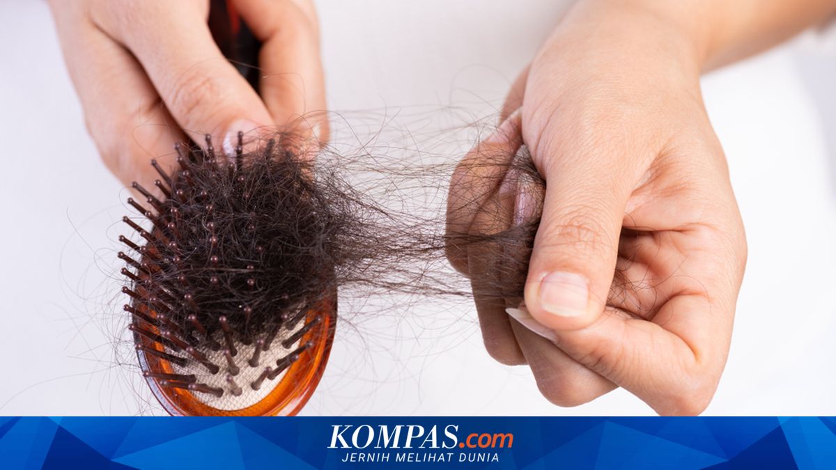 Rambut Rontok atau Patah? Ini Bedanya Menurut Dokter