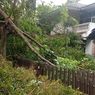 Pohon Tumbang dan Sempal di 13 Titik di Jakpus karena Angin Kencang, Sabtu
