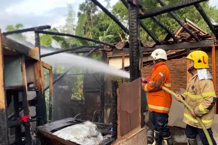 Diduga Lupa Matikan Tungku Masak Daging Kurban, 2 Rumah di Bondowoso Ludes Terbakar saat Idul Adha