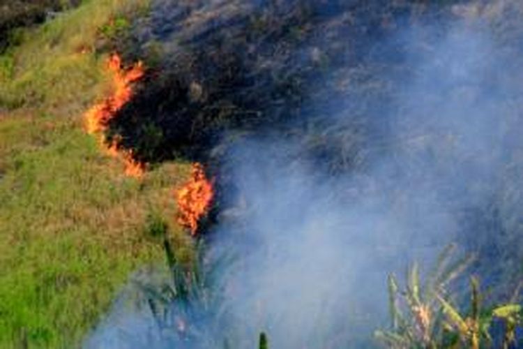 Kebakaran lahan yang ditumbuhi alang-alang terjadi di jalur Trans Sulawesi Manado - Bolaang Mongondow.