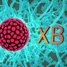 Bagaimana Cara Mencegah Omicron XBB? Berikut Penjelasan Kemenkes