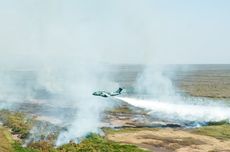 Brasil "Perang" Lawan Kebakaran Hutan, Kerahkan Pesawat Militer