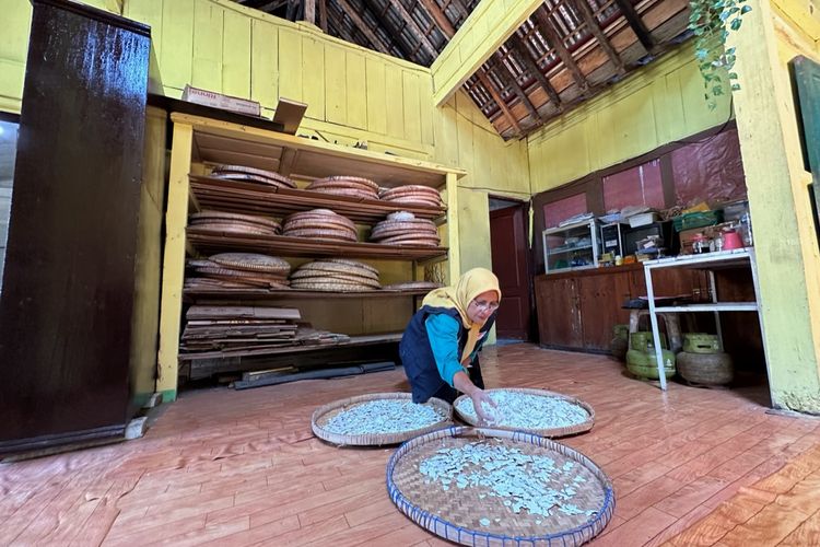 Lilik Sri Rahayu (61) bersiap untuk menjemur potongan singkong untuk diolah menjadi tepung mocaf di rumahnya di Kampung Kawista, Adiwarno, Selomerto, Wonosobo, Jawa Tengah (8/5/2024). Lilik merupakan salah satu pelaku UMKM yang mengolah tepung mocaf menjadi tiwul instan.