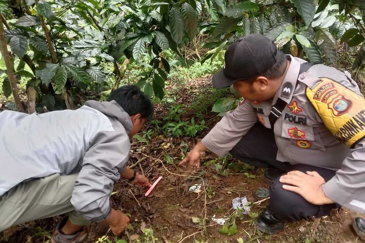 Proses evakuasi warga Dusun Cecahan, Lampung Barat setelah ternak warga setempat dimangsa hewan buas diduga harimau.
