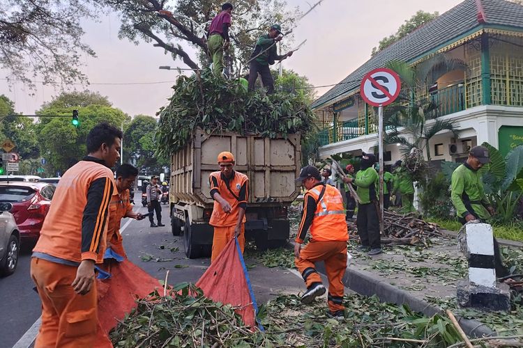 Pasukan hijau dan oranye bahu membahu mengangkut ranting dan dedaunan dari pohon yang tumbang ke atas truk di Jalan Taman Suropati, Menteng, Jakarta Pusat, Selasa (17/10/2023). (KOMPAS.com/XENA OLIVIA)