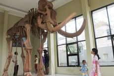 Replika Gajah Raksasa Diharapkan Jadi Wisata Edukasi Generasi Milenial