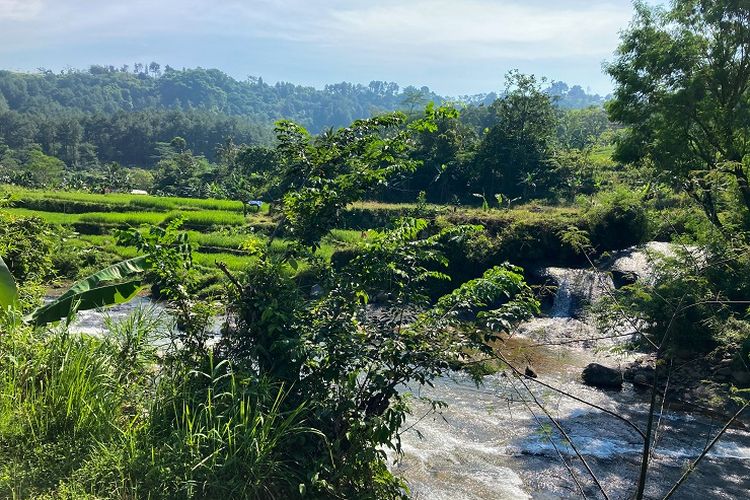 Hamparan sawah, air terjun kecil, serta aliran sungai di Kecamatan Babakan Madang, Kabupaten Bogor, Rabu (26/5/2021).