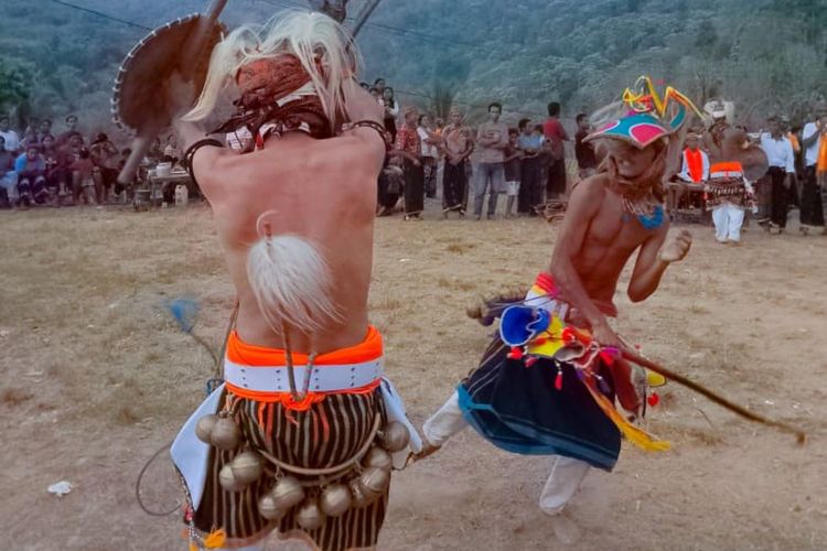 Tarian Caci: Mensyukuri Panen, Merawat Persaudaraan di Manggarai Timur