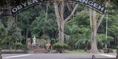 3 Hal Menarik yang Bisa Dilakukan Saat Berkunjung ke Sangeh Monkey Forest Bali