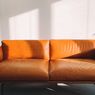 Cara Membersihkan Sofa Kulit dengan Benar agar Tidak Rusak