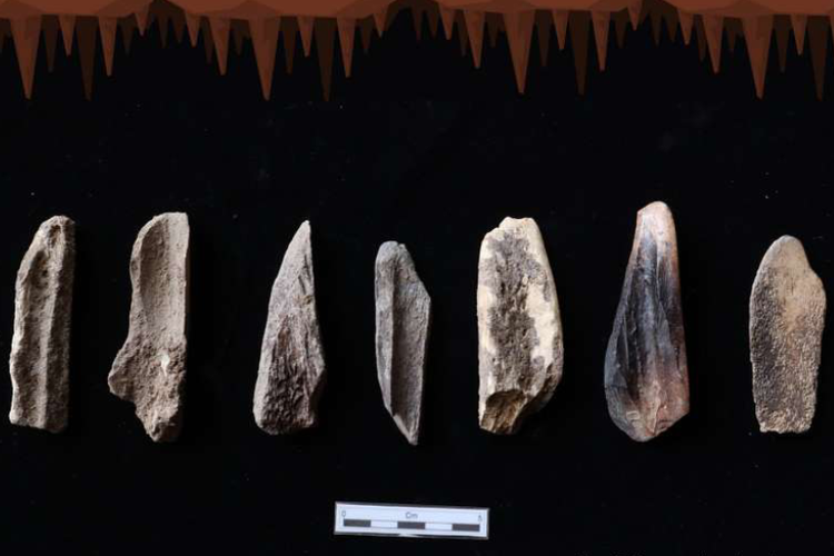 Temuan alat-alat tulang atau Bone Culture dari Sampung, Ponorogo.