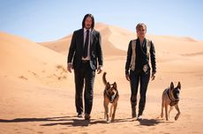 Shooting Adegan Laga John Wick 3 Nyaris Gagal gara-gara Kucing