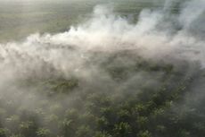 17 Hektar Lahan Gambut di Kalbar Terbakar, Sebagian Kebun Kelapa Sawit