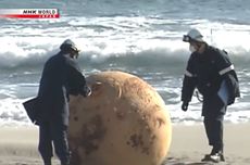 Bola Besar Disebut "Dragon Ball" Muncul di Pantai Jepang, Sudah Sebulan Tak Bergerak