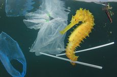 Maret 2019, Pemkot Bekasi Terapkan Larangan Penggunaan Kantong Plastik