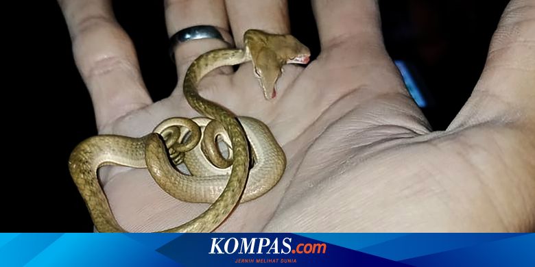 Erkaklar uchun oyinchoqlar porno onlayn video