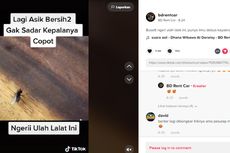 Viral, Video Lalat Bisa Lepas-Pasang Kepala tapi Masih Hidup, Ini Penjelasan Ahli