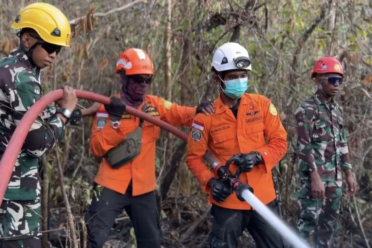 Karhutla Kembali Terjadi di Biak Numfor Papua, BPBD Soroti Unsur Kesengajaan