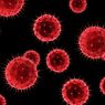 Inggris Laporkan Temuan Virus Polio yang Teridentifikasi pada Limbah