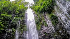 Teliti Hewan Malam, Mahasiswa Terperosok ke Jurang 40 Meter di Curug Lawe Semarang