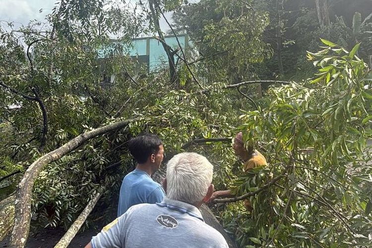 BMKG Ungkap Hasil Analisis Cuaca Ekstrem Penyebab Longsor di Bogor, Sumedang, dan Garut