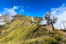 Daftar Tarif Masuk TN Gunung Merbabu per 30 Oktober, Naik 2 Kali Lipat