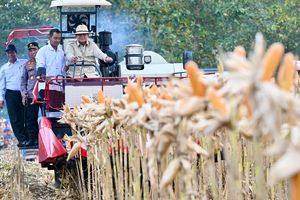 Potret Prabowo Panen Jagung: Nyetir Traktor 'Combine Corn Harvester', Pakai Topi Koboi