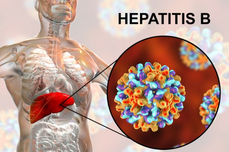 Mengetahui apa itu hepatitis B sangatlah penting agar dapat melakukan tindakan pencegahan yang diperlukan.
