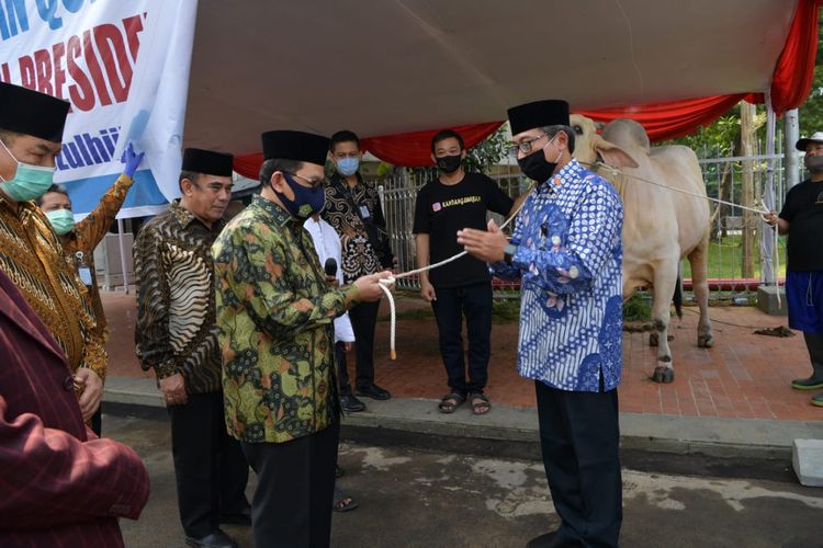 Deputi Bidang Administrasi Sekretariat Wakil Presiden Guntur Iman Nefianto menyerahkan sapi kurban Wapres Maruf Amin kepada Wakil Menteri Agama Zainut Tauhid pada Kamis (30/7/2020) di Masjid Istiqlal, Jakarta Pusat.