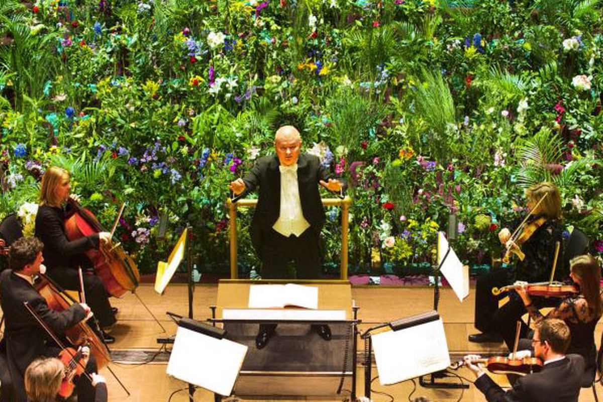 Royal Philharmonic Orchestra mengadakan resital musik selama tiga jam pada tahun 2011 untuk menguji teori bahwa tanaman tumbuh lebih baik ketika mendengar musik.