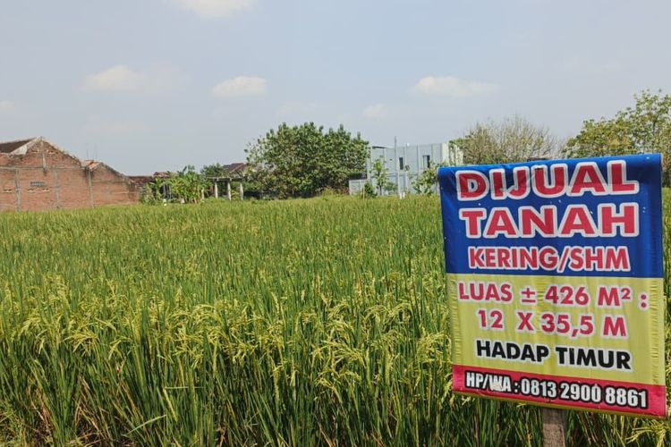 Urus Ukur Tanah Kini Maksimal 7 Hari, Berlaku se-Indonesia