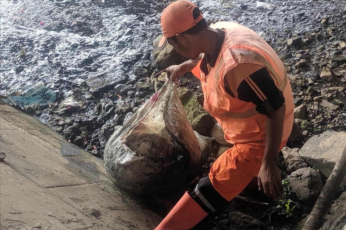 Petugas PPSU mengangkat limbah hewan kurban yang dibuang sembarangan oleh warga di Kali Ancol