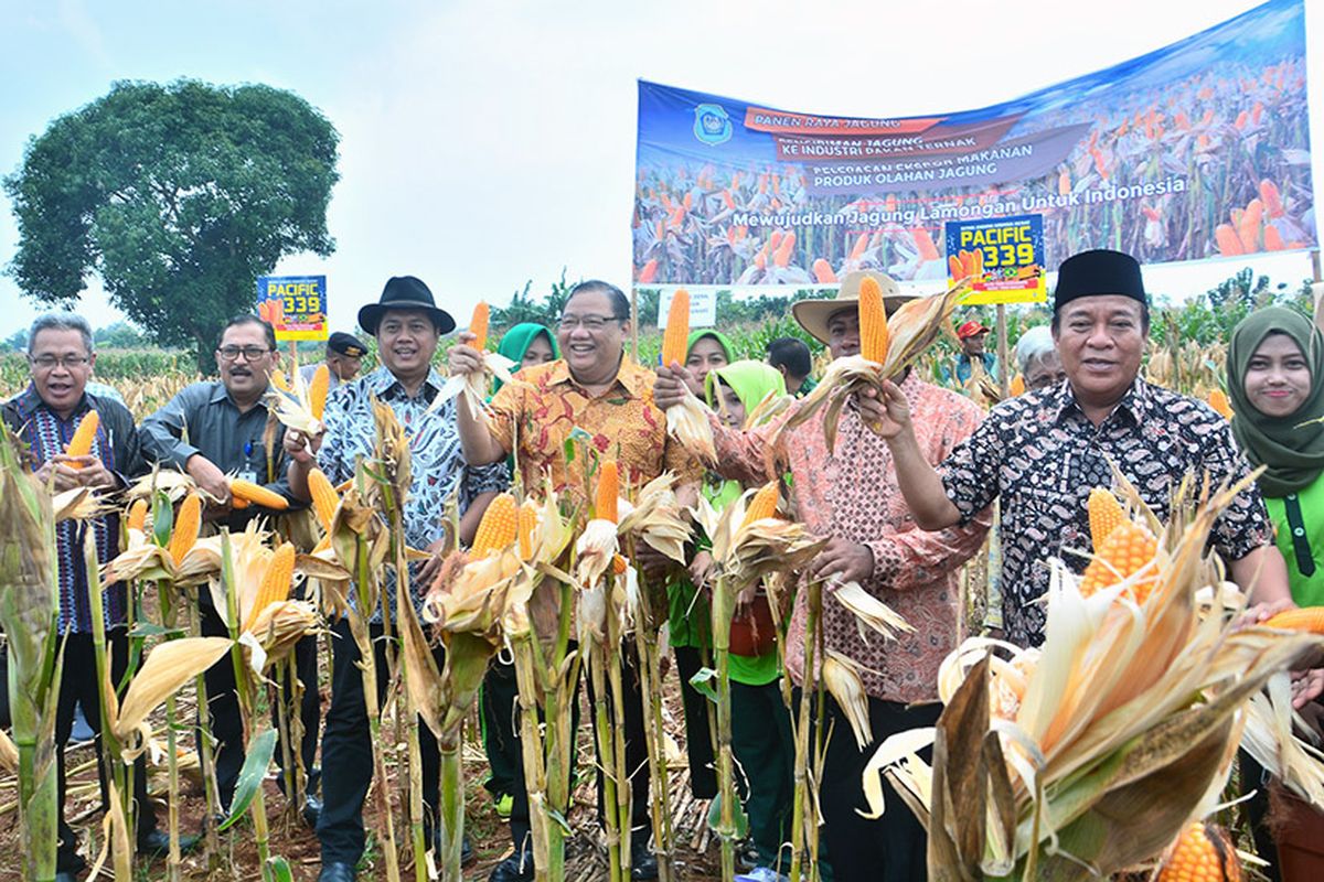 Menkop dan UKM Anak Agung Gede Ngurah Puspayoga (tengah), saat menghadiri panen raya jagung di Lamongan.