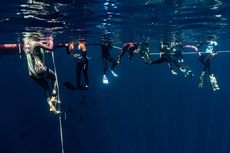 6 Manfaat Kesehatan Freediving, Olahraga Selam Tanpa Alat Bantu Napas